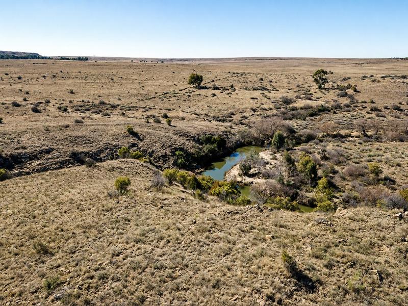 0 Bedroom Property for Sale in Lindley Free State
